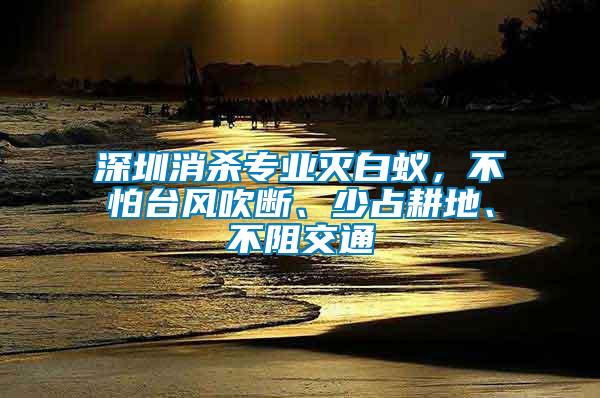 深圳消殺專業(yè)滅白蟻，不怕臺風吹斷、少占耕地、不阻交通
