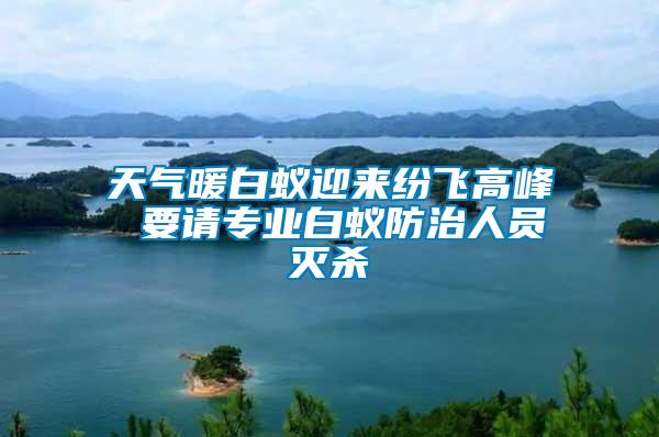 天氣暖白蟻迎來紛飛高峰 要請專業白蟻防治人員滅殺