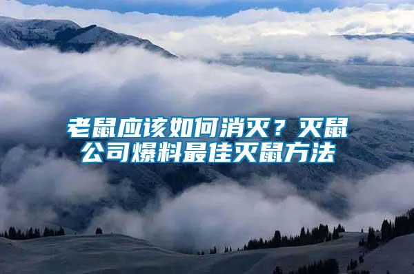 老鼠應該如何消滅？滅鼠公司爆料最佳滅鼠方法