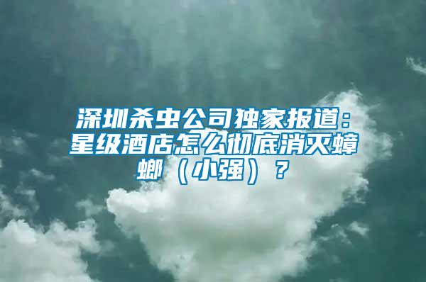 深圳殺蟲公司獨家報道：星級酒店怎么徹底消滅蟑螂（小強）？