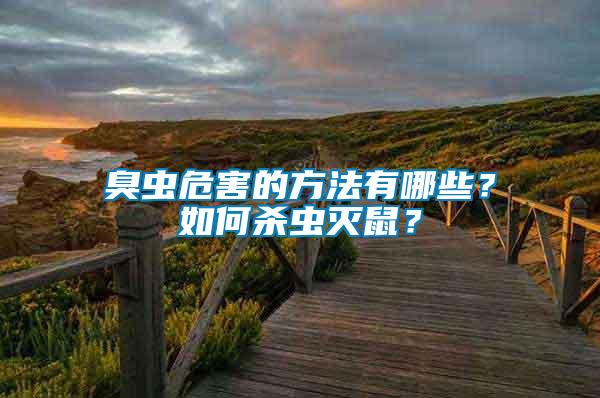 臭蟲危害的方法有哪些？如何殺蟲滅鼠？
