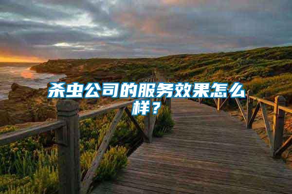 殺蟲公司的服務效果怎么樣？