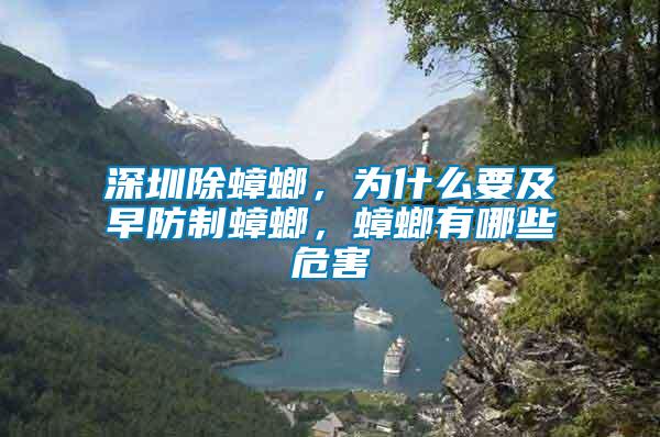 深圳除蟑螂，為什么要及早防制蟑螂，蟑螂有哪些危害