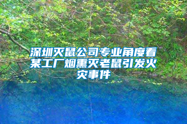 深圳滅鼠公司專業角度看某工廠煙熏滅老鼠引發火災事件