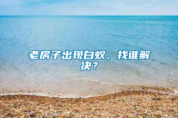 老房子出現白蟻，找誰解決？