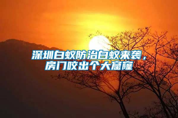 深圳白蟻防治白蟻來襲，房門咬出個大窟窿