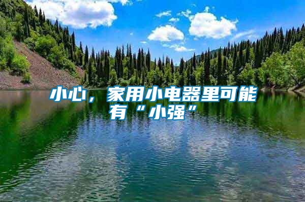 小心，家用小電器里可能有“小強”