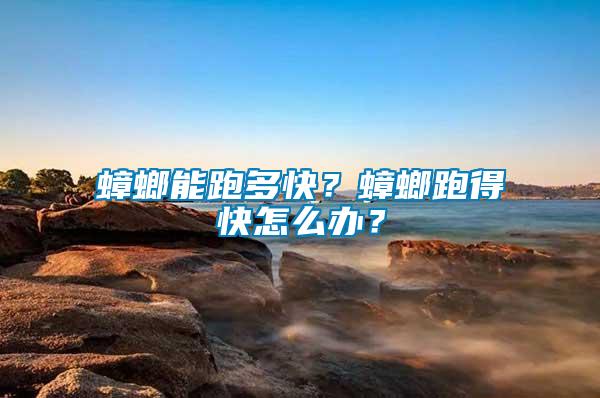 蟑螂能跑多快？蟑螂跑得快怎么辦？
