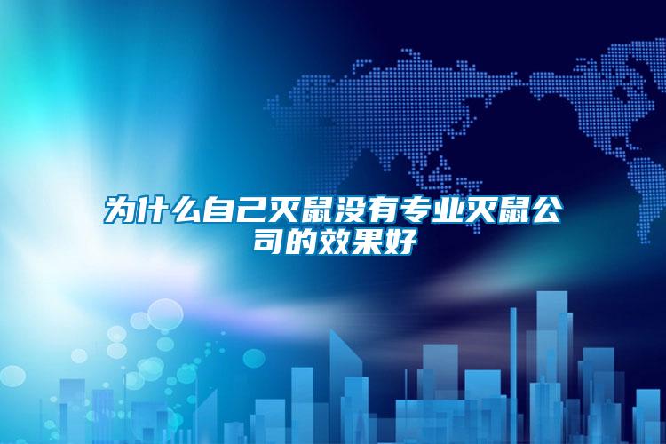 為什么自己滅鼠沒有專業滅鼠公司的效果好