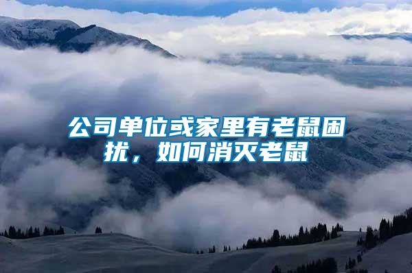 公司單位或家里有老鼠困擾，如何消滅老鼠