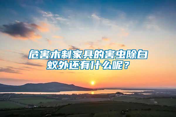 危害木制家具的害蟲除白蟻外還有什么呢？
