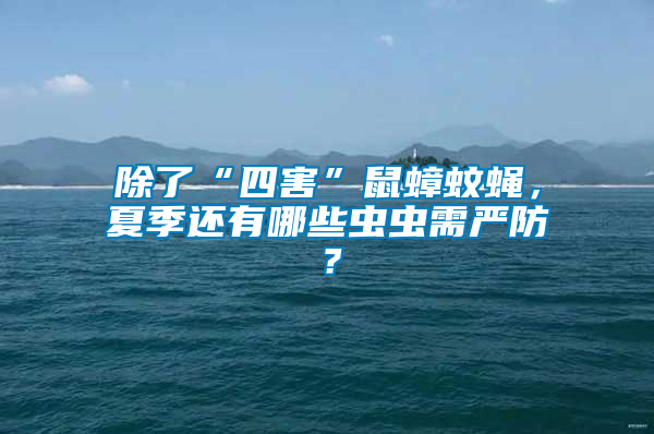 除了“四害”鼠蟑蚊蠅，夏季還有哪些蟲蟲需嚴防？