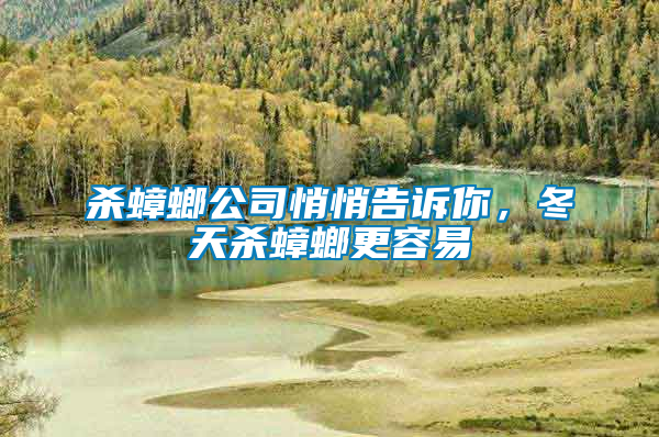 殺蟑螂公司悄悄告訴你，冬天殺蟑螂更容易