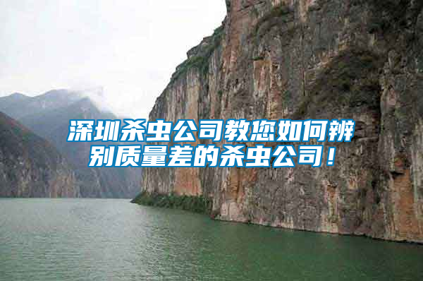 深圳殺蟲公司教您如何辨別質量差的殺蟲公司！