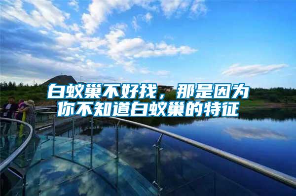 白蟻巢不好找，那是因為你不知道白蟻巢的特征