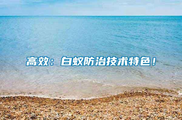 高效：白蟻防治技術特色！