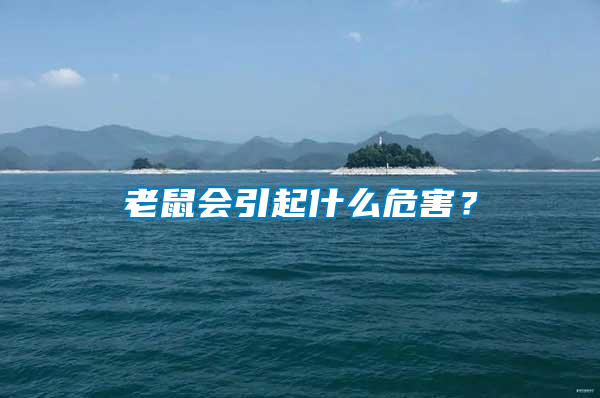 老鼠會引起什么危害？