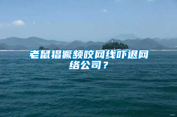 老鼠猖獗頻咬網線嚇退網絡公司？