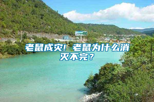 老鼠成災! 老鼠為什么消滅不完？