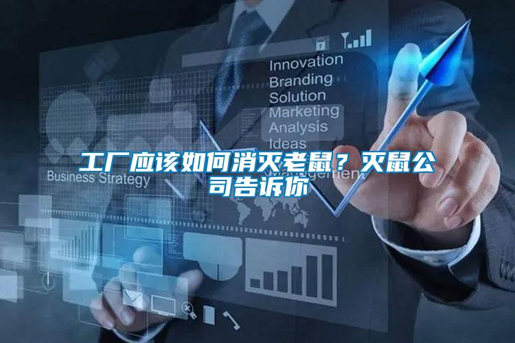 工廠應該如何消滅老鼠？滅鼠公司告訴你