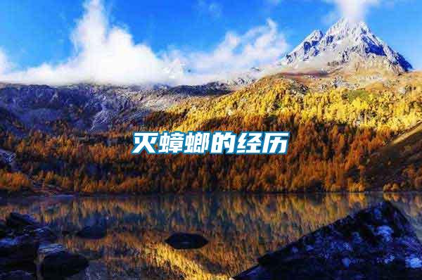 滅蟑螂的經歷