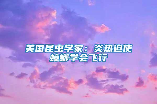 美國(guó)昆蟲學(xué)家：炎熱迫使蟑螂學(xué)會(huì)飛行