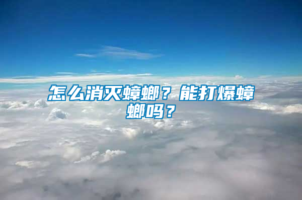怎么消滅蟑螂？能打爆蟑螂嗎？