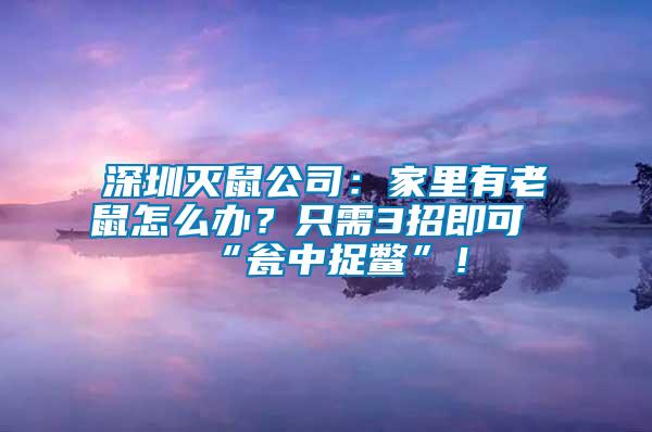 深圳滅鼠公司：家里有老鼠怎么辦？只需3招即可“甕中捉鱉”！