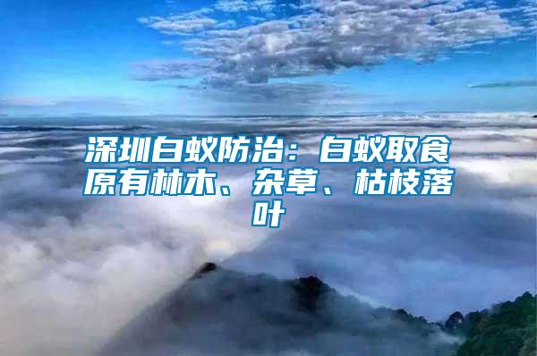 深圳白蟻防治：白蟻取食原有林木、雜草、枯枝落葉