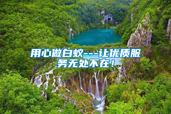 用心做白蟻---讓優質服務無處不在！