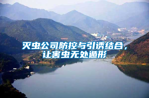 滅蟲公司防控與引誘結合，讓害蟲無處遁形