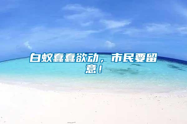 白蟻蠢蠢欲動，市民要留意！