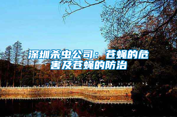 深圳殺蟲(chóng)公司：蒼蠅的危害及蒼蠅的防治