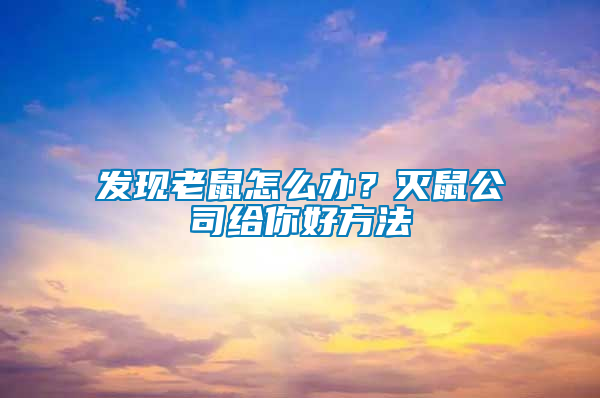 發現老鼠怎么辦？滅鼠公司給你好方法