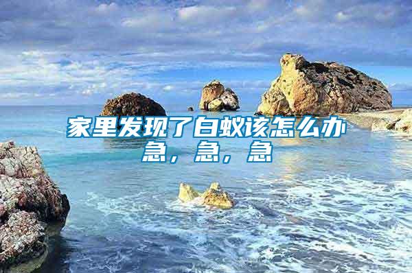 家里發現了白蟻該怎么辦急，急，急