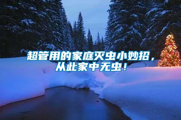 超管用的家庭滅蟲小妙招，從此家中無蟲！