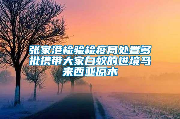 張家港檢驗檢疫局處置多批攜帶大家白蟻的進(jìn)境馬來西亞原木