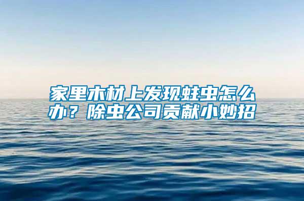 家里木材上發現蛀蟲怎么辦？除蟲公司貢獻小妙招