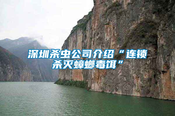 深圳殺蟲(chóng)公司介紹“連鎖殺滅蟑螂毒餌”