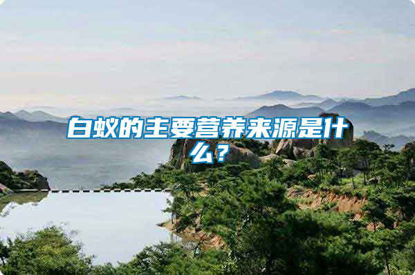 白蟻的主要營養來源是什么？