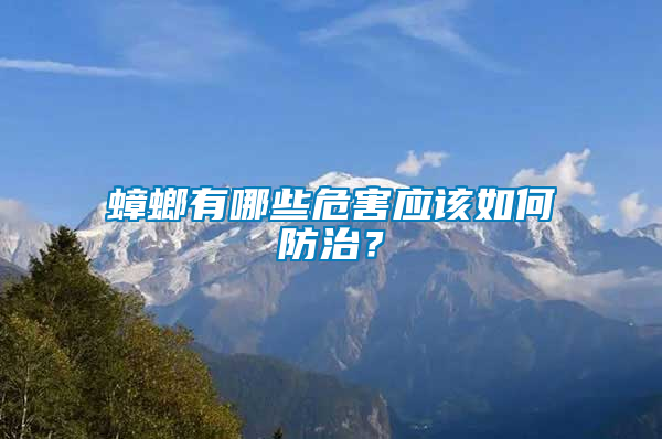 蟑螂有哪些危害應(yīng)該如何防治？