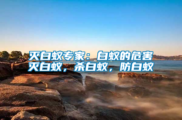 滅白蟻專家：白蟻的危害滅白蟻，殺白蟻，防白蟻
