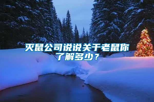 滅鼠公司說說關于老鼠你了解多少？