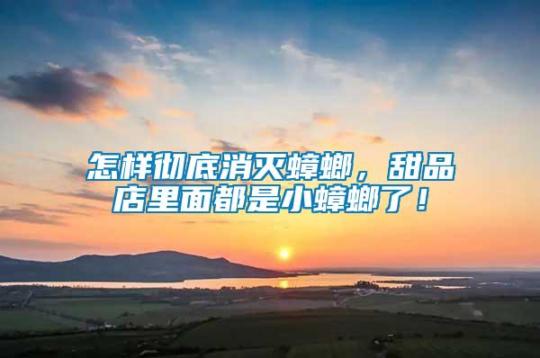 怎樣徹底消滅蟑螂，甜品店里面都是小蟑螂了！