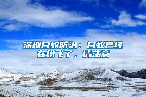 深圳白蟻防治：白蟻已經在紛飛了，請注意