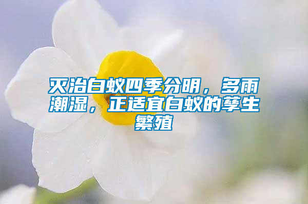 滅治白蟻四季分明，多雨潮濕，正適宜白蟻的孳生繁殖