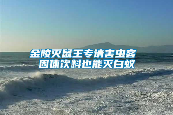 金陵滅鼠王專(zhuān)請(qǐng)害蟲(chóng)客 固體飲料也能滅白蟻