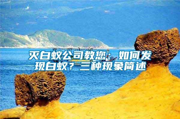 滅白蟻公司教您：如何發現白蟻？三種現象簡述