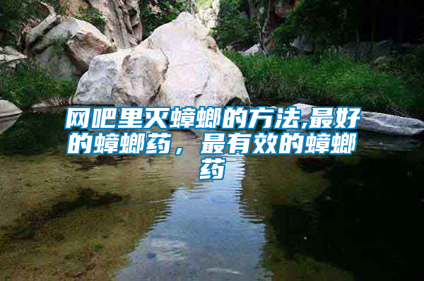 網吧里滅蟑螂的方法,最好的蟑螂藥，最有效的蟑螂藥