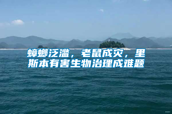 蟑螂泛濫，老鼠成災(zāi)，里斯本有害生物治理成難題